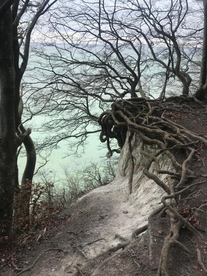 Hering Fewo II Apartment Balcony Wiek auf Rügen Dış mekan fotoğraf